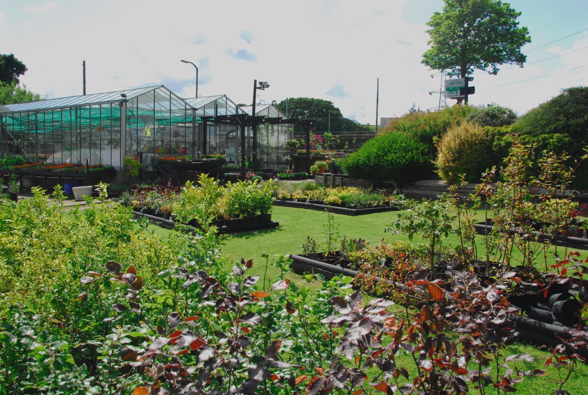 Carlton Nurseries